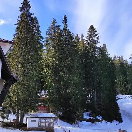 Orpheus Nook - The Castle * Pamporovo